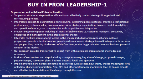 Integrated Organizational Restructuring Manual - Image 3
