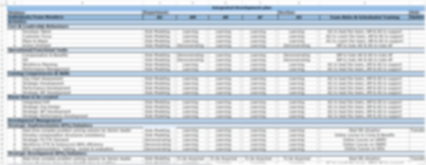 Managerial Performance Profile - Image 7