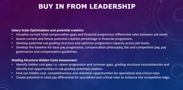 Salary Scales Optimizer - Image 3