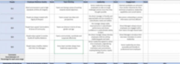 Integrated Employee Value Proposition Survey - Image 5