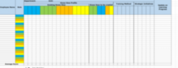 Know How Portfolio Matrix - Image 4