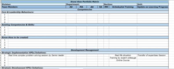 Know How Portfolio Matrix - Image 6