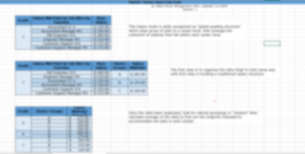 Salary Scales Optimizer - Image 4