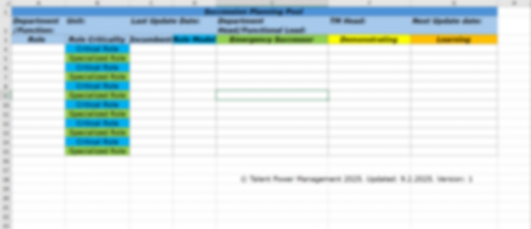 Integrated Succession Planning Manual & Tools - Image 5