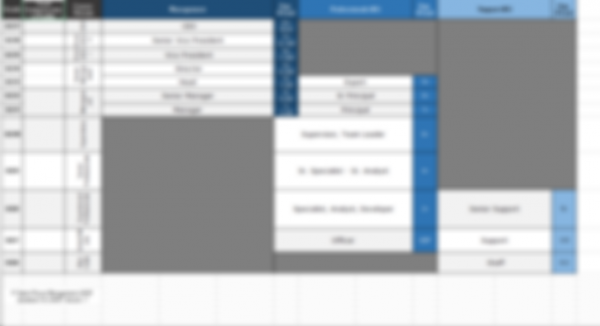 Job Architecture and Promotional Career Pathing Matrix (organizational and functional) - Image 4