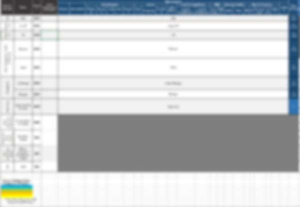 Job Architecture and Promotional Career Pathing Matrix (organizational and functional) - Image 5
