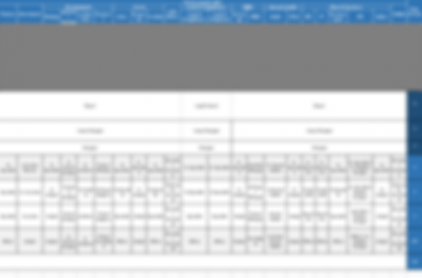Job Architecture and Promotional Career Pathing Matrix (organizational and functional) - Image 6