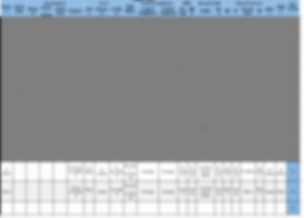 Job Architecture and Promotional Career Pathing Matrix (organizational and functional) - Image 7