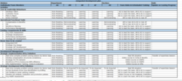 Integrated KPIs and Team Development Plan - Image 4